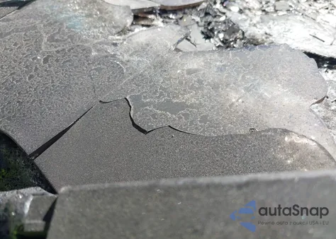 2024 Tesla Cybertruck All-Wheel Drive from USA, damaged, VIN 7G2CEHED9RA048890